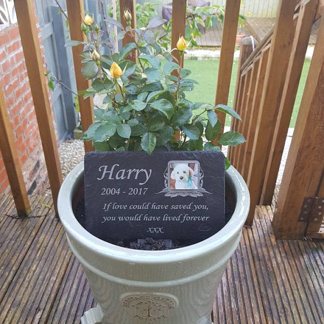Labradoodle memorial plaque with photo