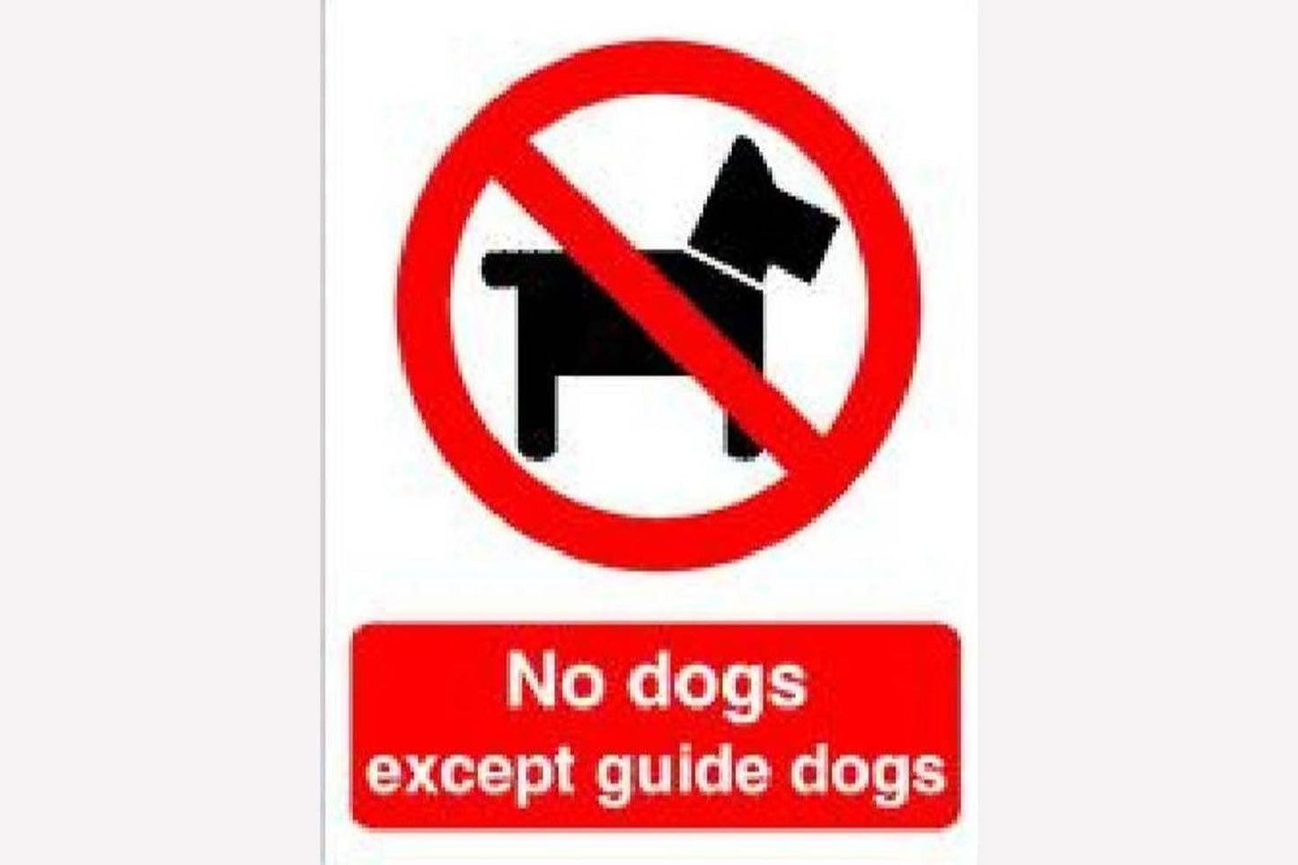 No Dogs Sign - Health & Safety Signs High Quality Interior & Exterior