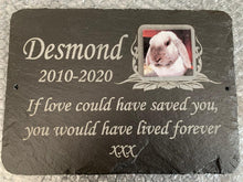 rabbit grave marker with photo