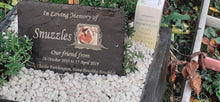Guniea pig grave memorial with photo