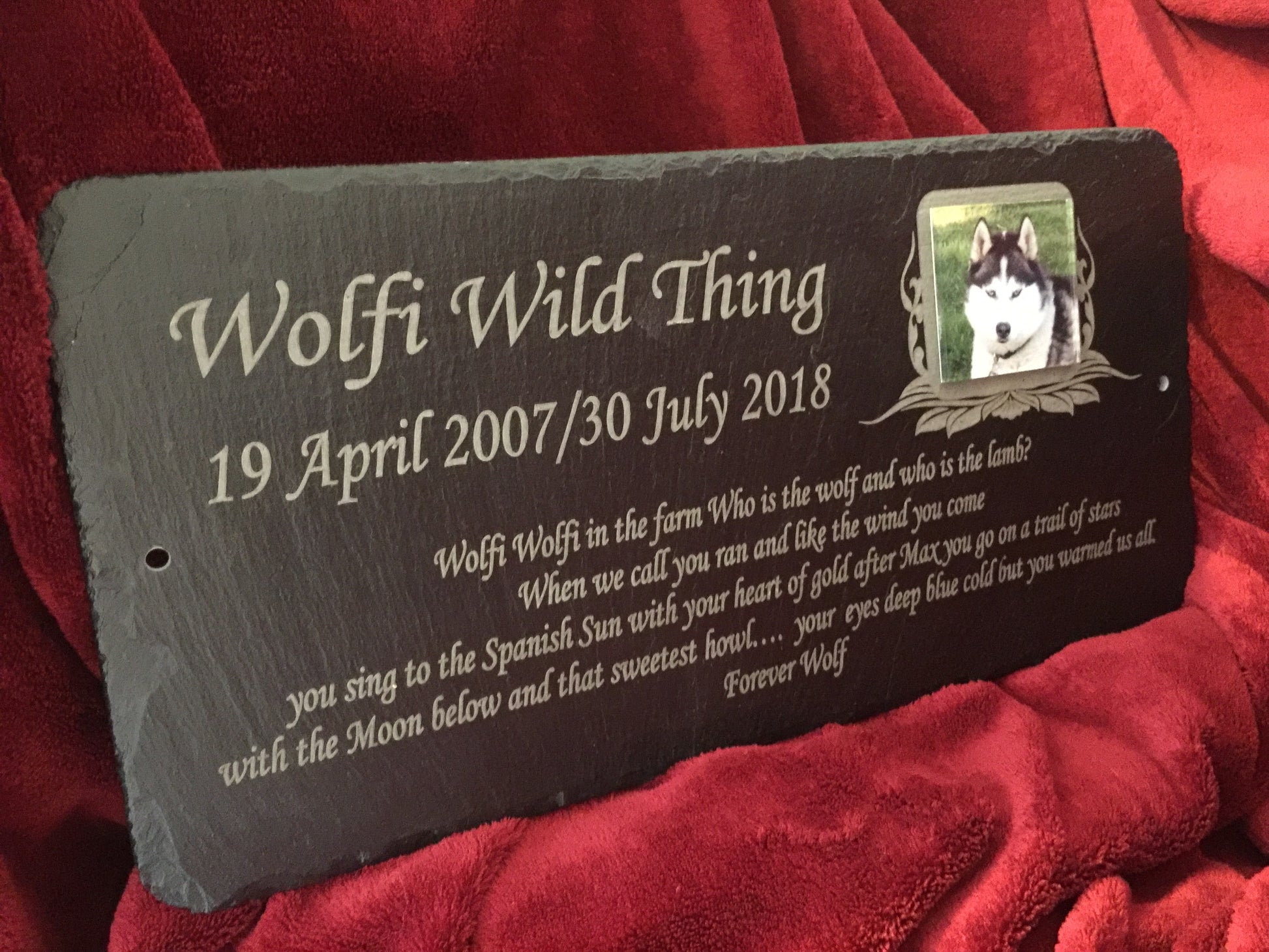 40cm x 20cm Memorial Photo Plaque for Amazing Lasting Beauty For Loved People or Cherished Pets Approx inches 15.7" x 7.8"